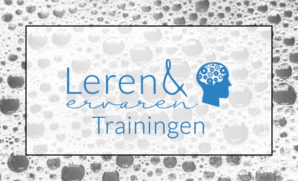 Gevelreinigen – op verzoek wordt training ingepland